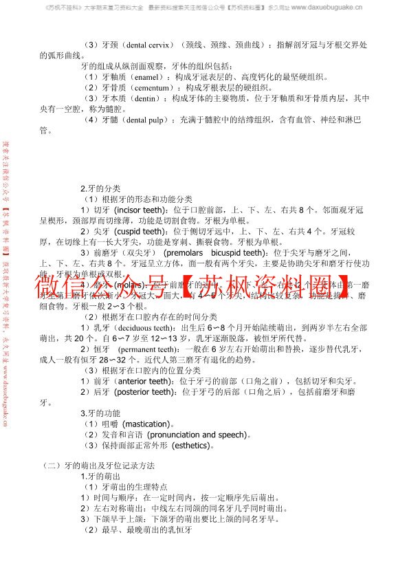 口腔局部解剖